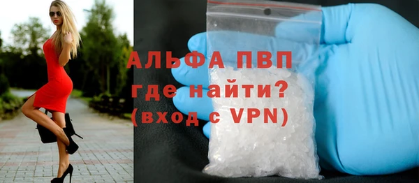 ешки Арсеньев