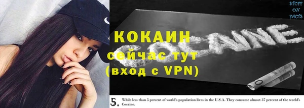 ешки Арсеньев