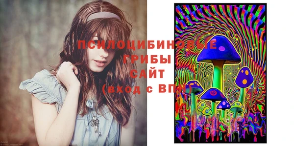 ешки Арсеньев