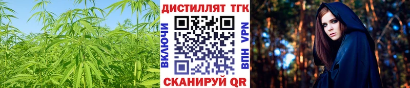 Дистиллят ТГК Wax  Купить  Губкин 