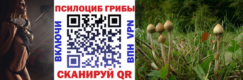 Галлюциногенные грибы прущие грибы  Купить где  Губкин 