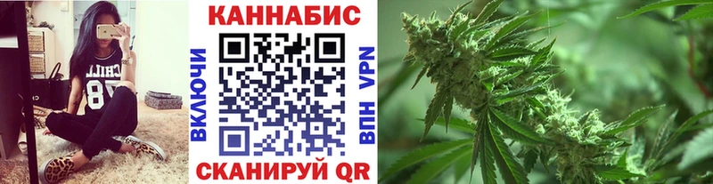 Шишки марихуана THC 21%  Купить где  Губкин 